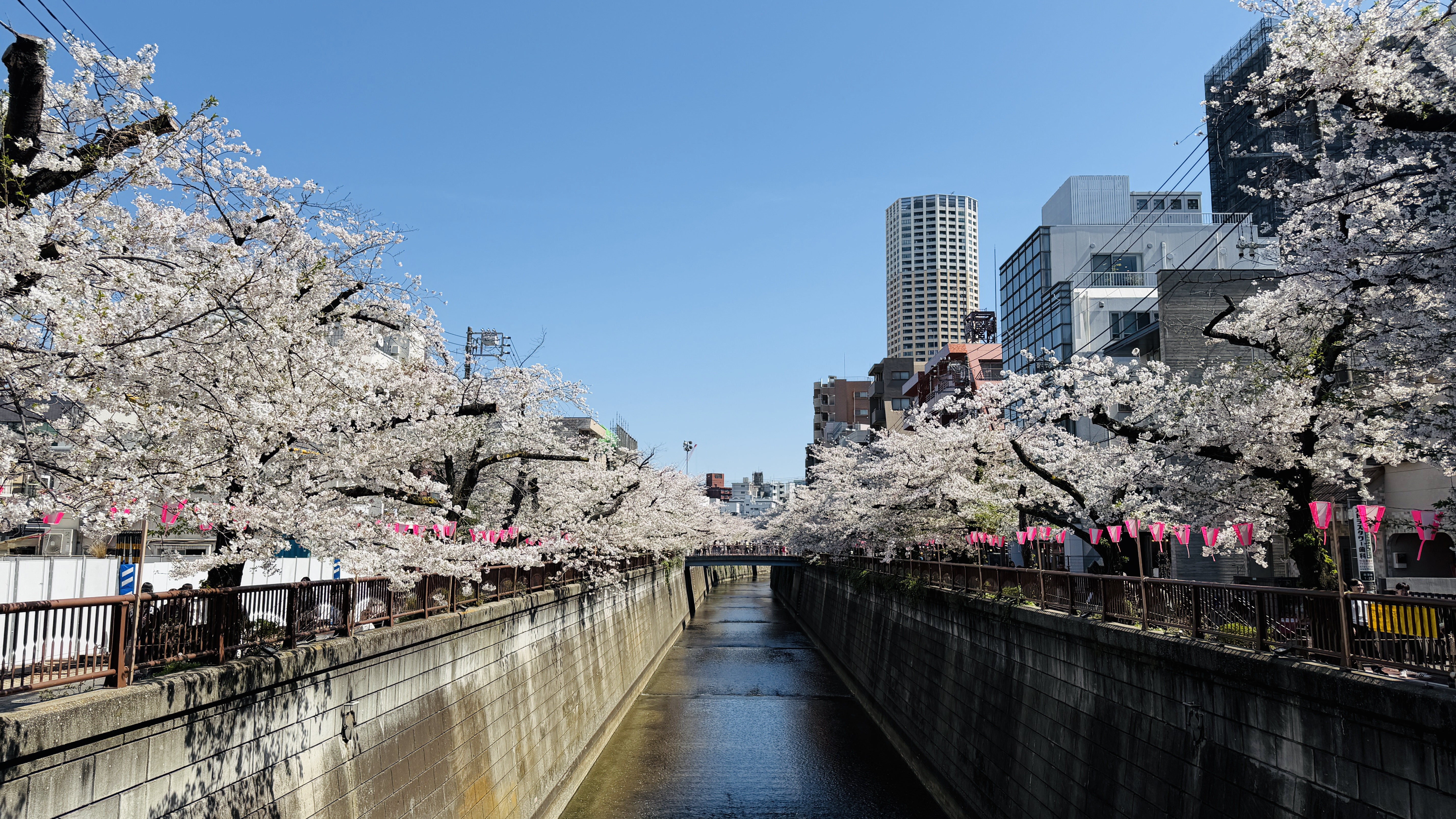 2026年版:目黒区エリア診断|「感性の深呼吸」を、日常に。美学と潤いが調和する、成熟のアドレス。