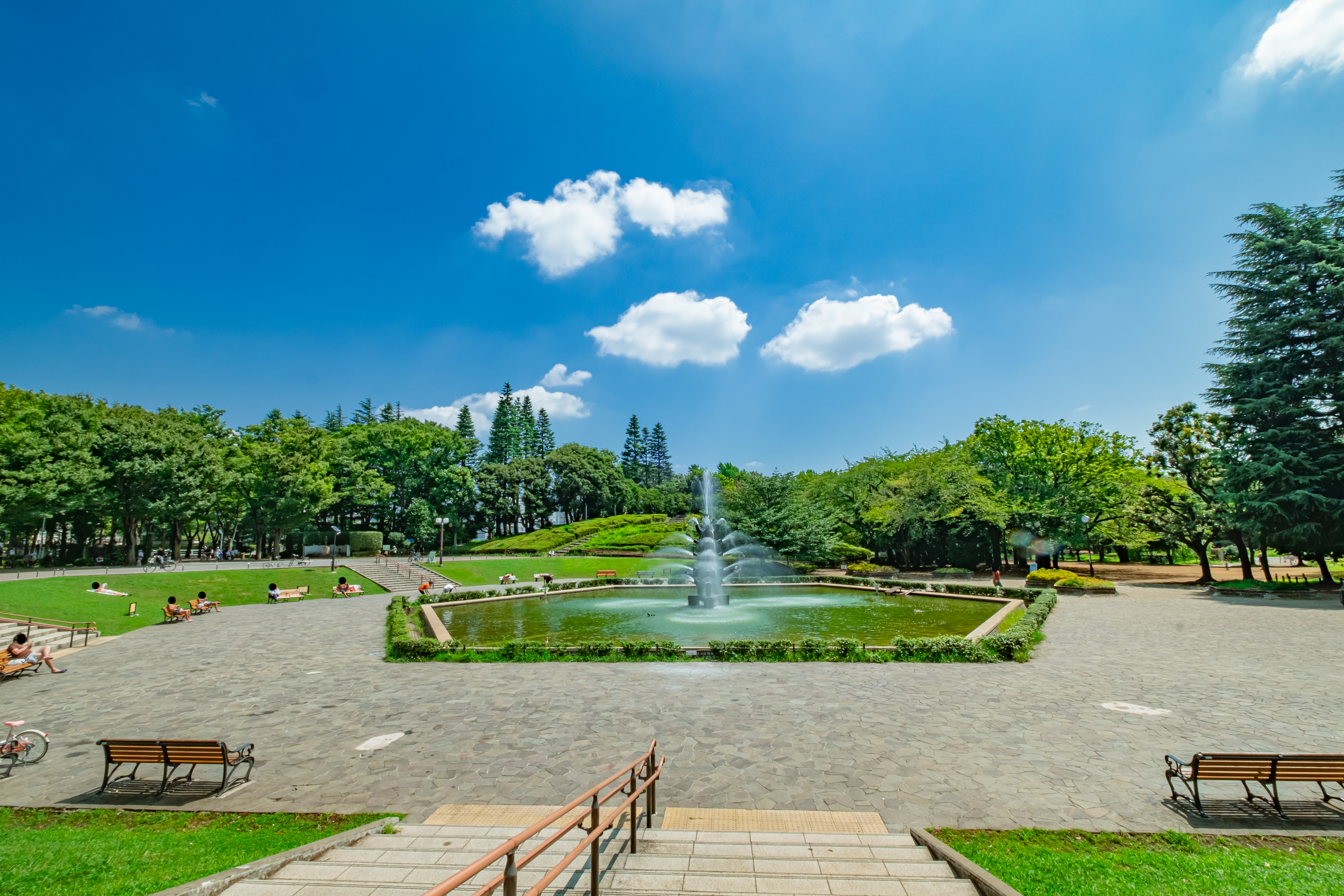 2026年版:世田谷区エリア診断|「根を張り、自分を拓く」。都市の静寂と大地の潤いが交差する、成熟の聖域。